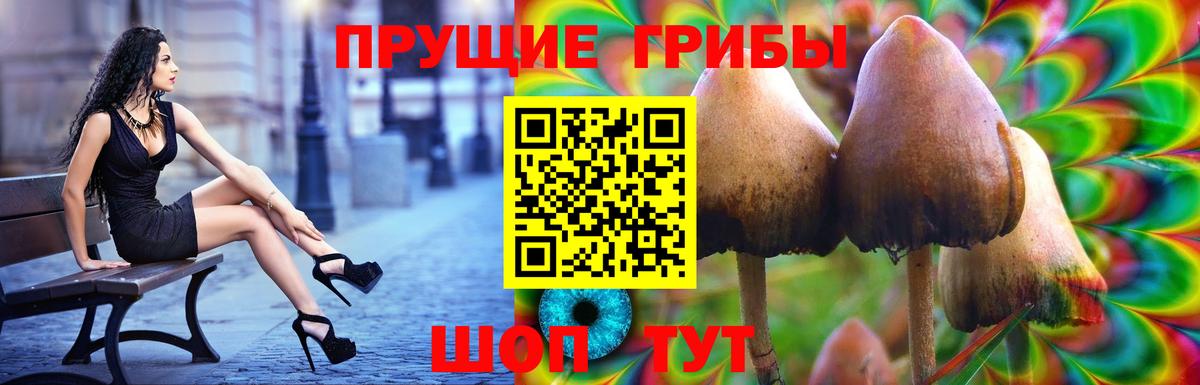 Галлюциногенные грибы ЛСД  Вход с VPN  Мелеуз  Галлюциногенные грибы ЛСД 
